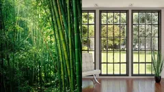 Više nema potrebe za staklom? Kina testira prozore od prozirnog bambusa