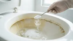 Jednostavna večernja rutina koja uklanja neugodne mirise i kamenac u WC-u