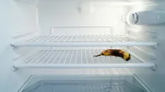 Prazan hladnjak ne rješava problem: namirnice koje smo nepotrebno isključili