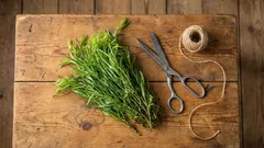 Ova mirisna začinska biljka radikalno mijenja okus jela — ali se često pogrešno koristi.